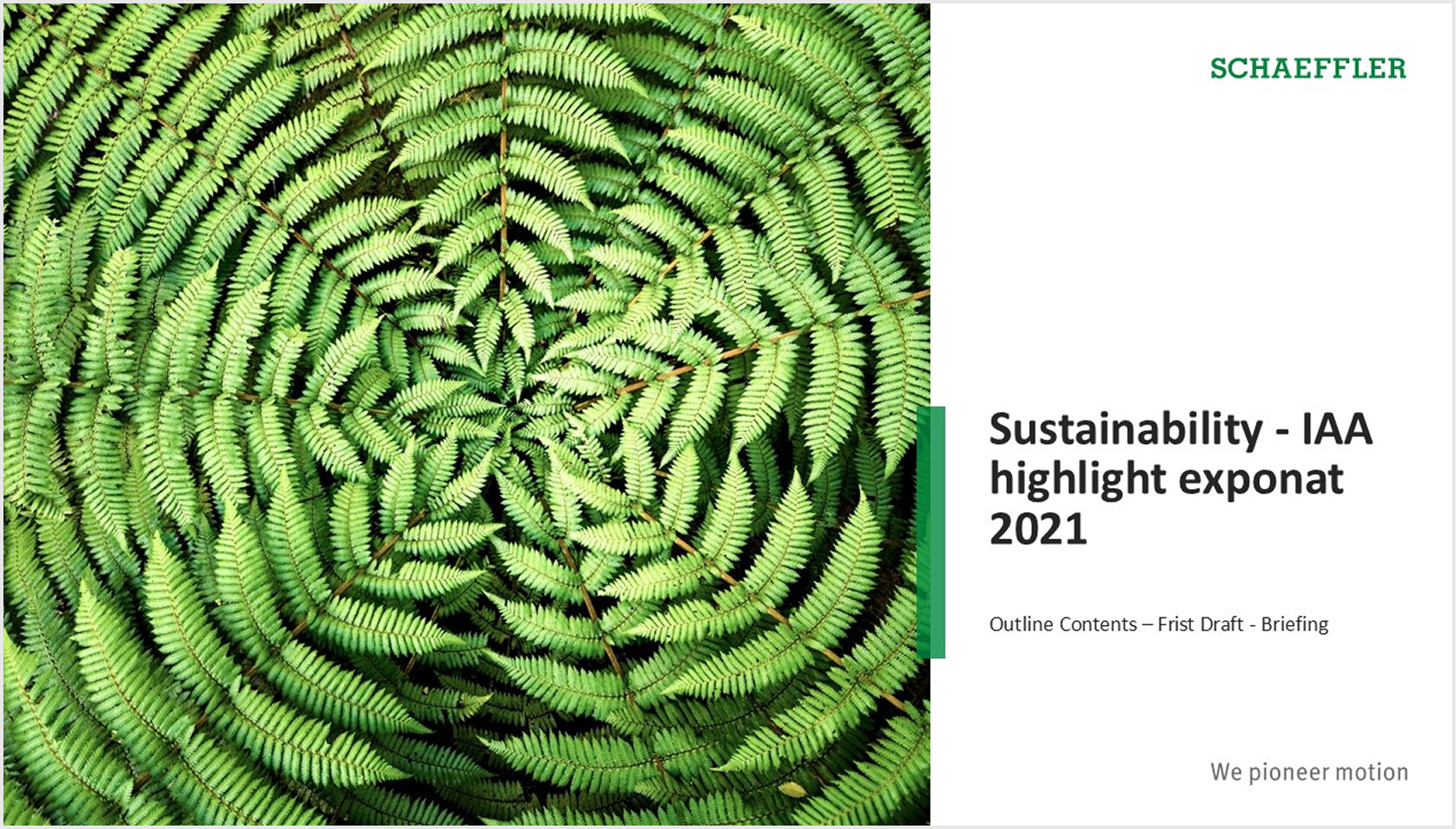 Sustainability presentation featuring green fern leaves and environmental theme